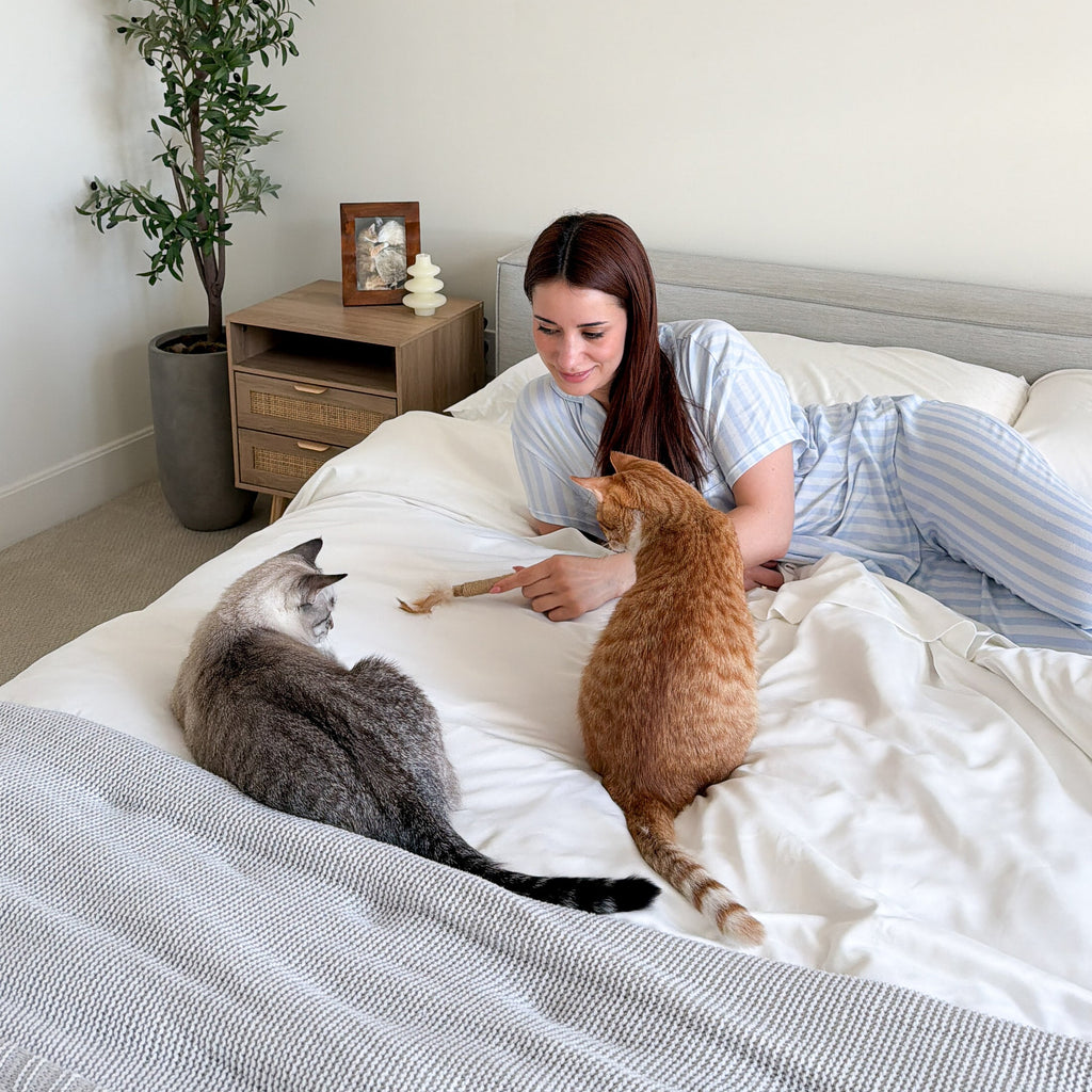 FurAway Comfort Bundle