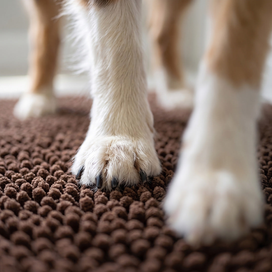 Magic Anti-Mud Dog Door Mat | 20x31