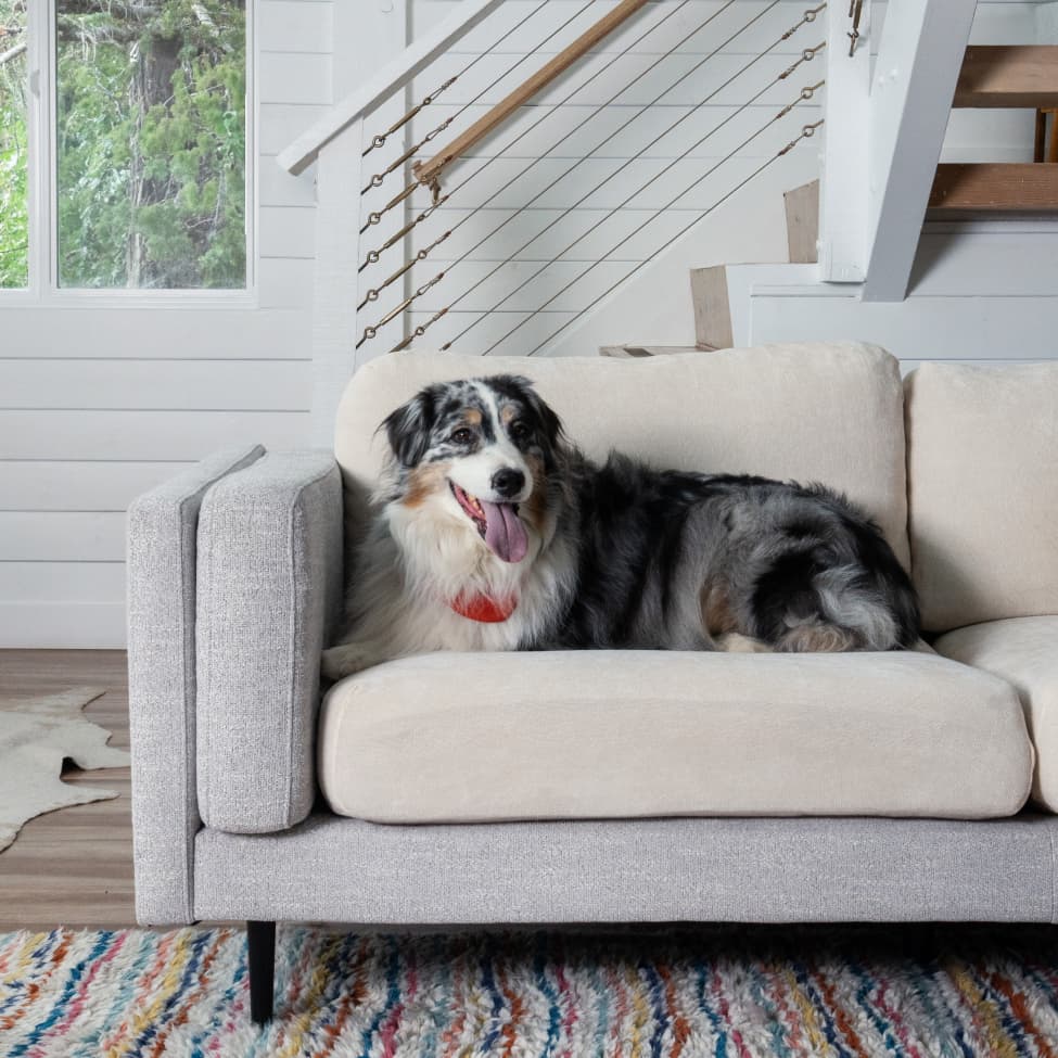 Miracle Sofa Covers - Plush | Last Chance