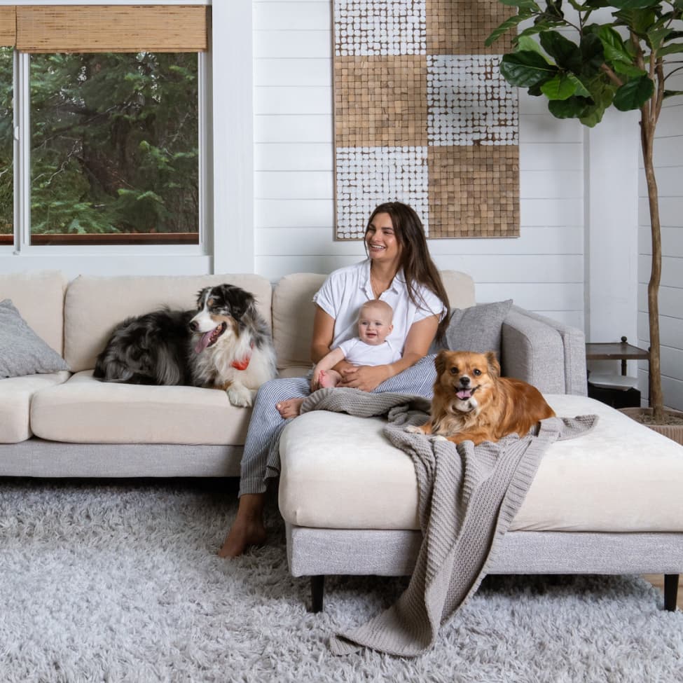 Miracle Sofa Covers - Plush | Last Chance