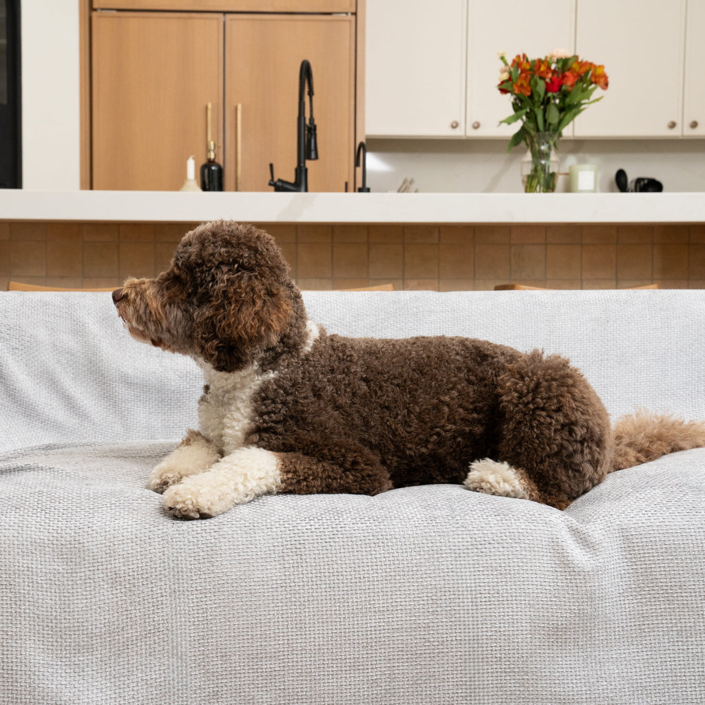 Magic Sofa Blanket - Luca Knit