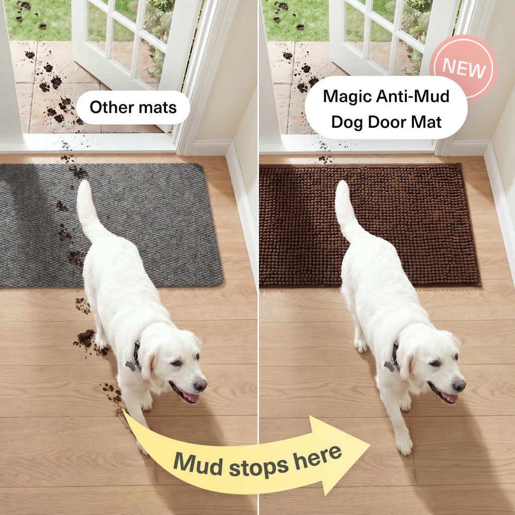 Magic Anti-Mud Dog Door Mat | 20x31