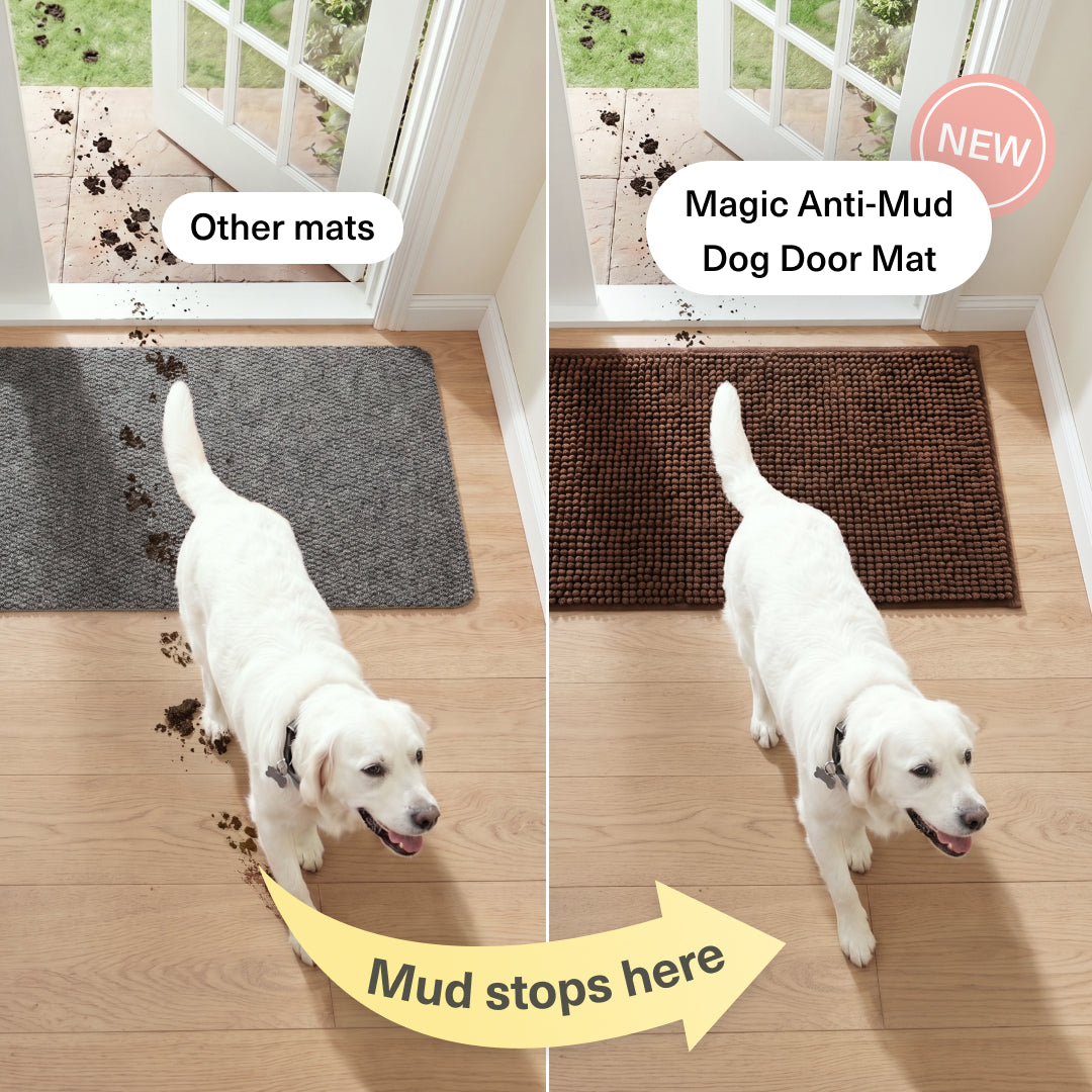 Magic Anti-Mud Dog Door Mat | 20x31