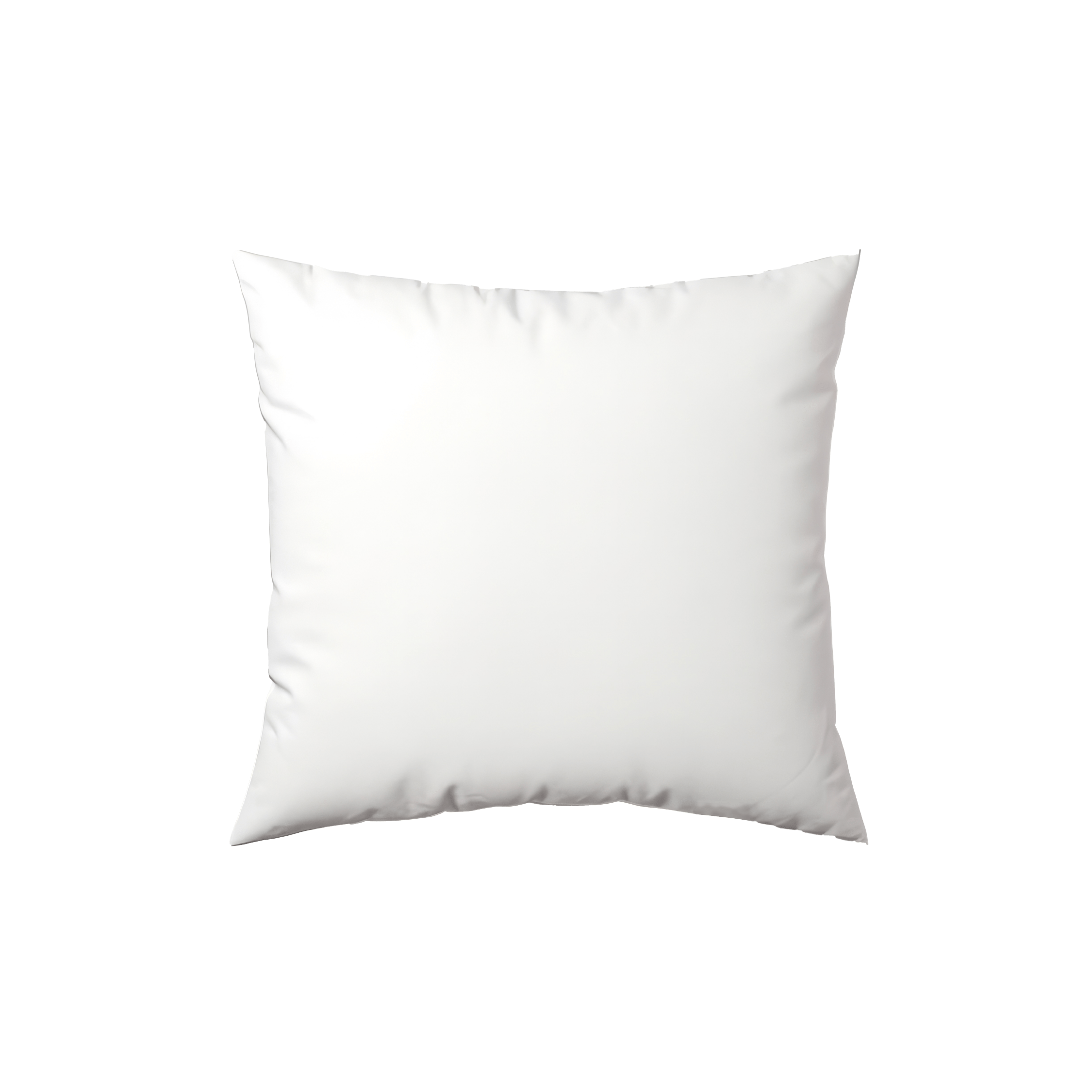 Pillow Insert - White | 20x20